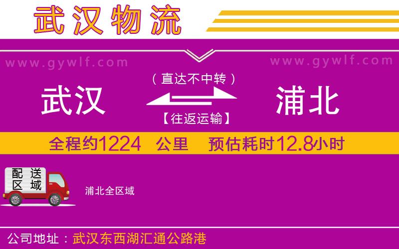 武漢到浦北貨運公司