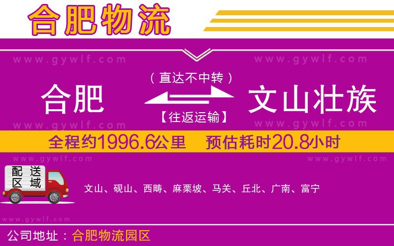 合肥到文山壯族苗族自治州物流公司