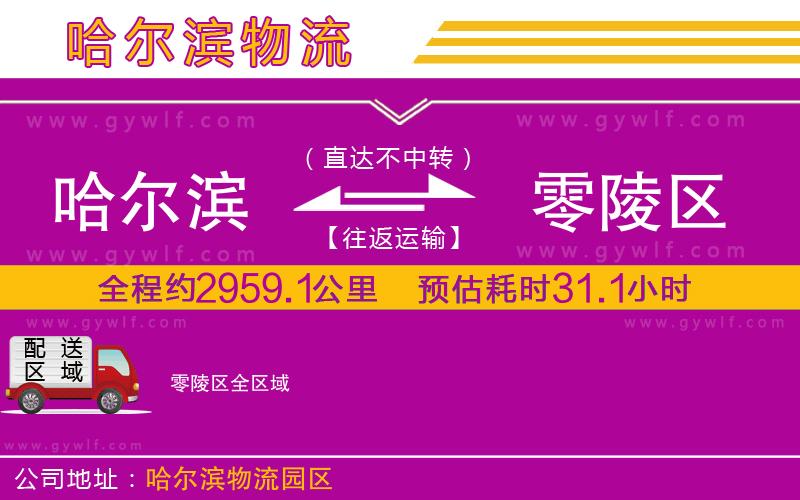 哈爾濱到零陵區(qū)物流公司