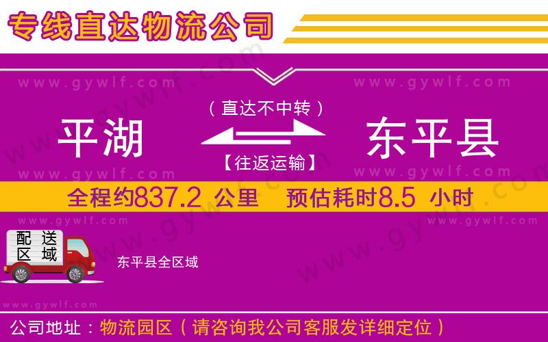 平湖到東平縣物流公司