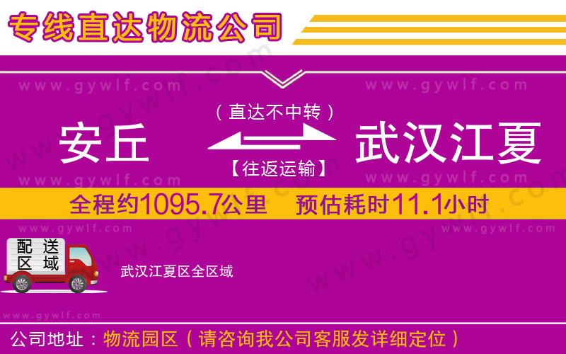 安丘到武漢江夏區(qū)物流公司