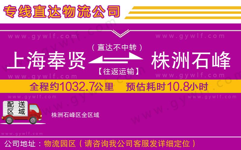 上海奉賢區(qū)到株洲石峰區(qū)物流公司