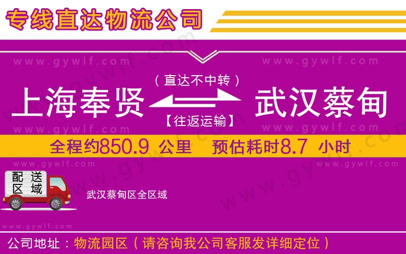 上海奉賢區(qū)到武漢蔡甸區(qū)物流公司
