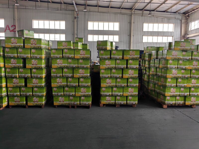 深圳到豐順貨運(yùn)公司