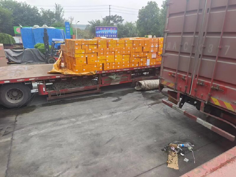 成都到呼倫貝爾物流公司